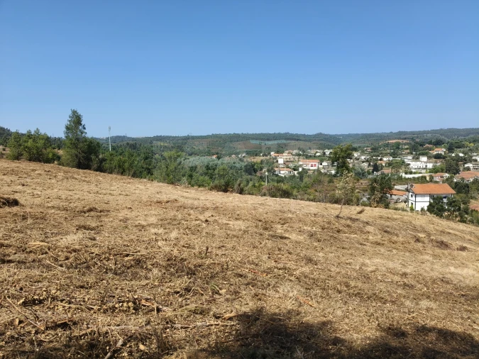 Terreno para Venda em Côja e Barril de Alva Foto 2
