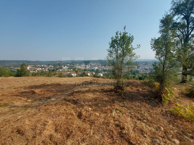 Terreno para Venda em Côja e Barril de Alva Foto 8