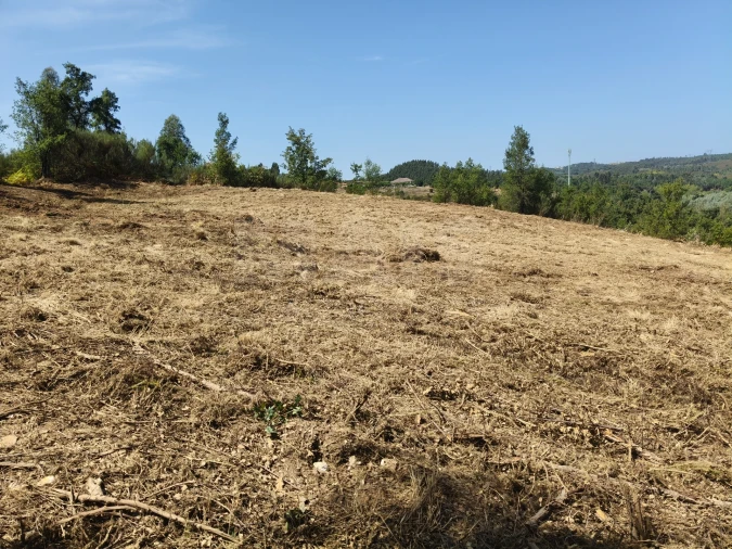 Terreno para Venda em Côja e Barril de Alva Foto 3