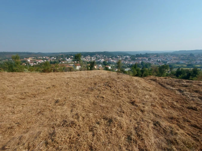 Terreno para Venda em Côja e Barril de Alva Foto 5