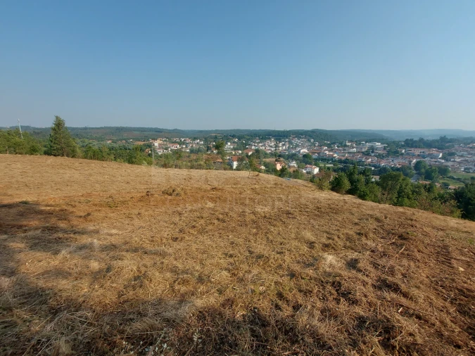 Terreno para Venda em Côja e Barril de Alva Foto 9