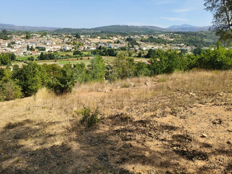 Terreno para Venda em Côja e Barril de Alva Foto 4