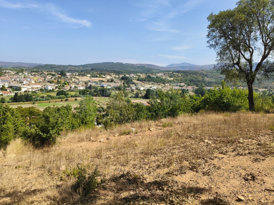 Terreno para Venda em Côja e Barril de Alva Foto 6