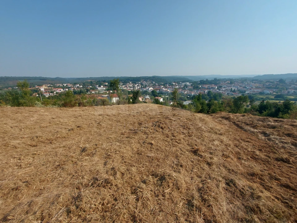 Terreno para Venda em Côja e Barril de Alva Foto 5