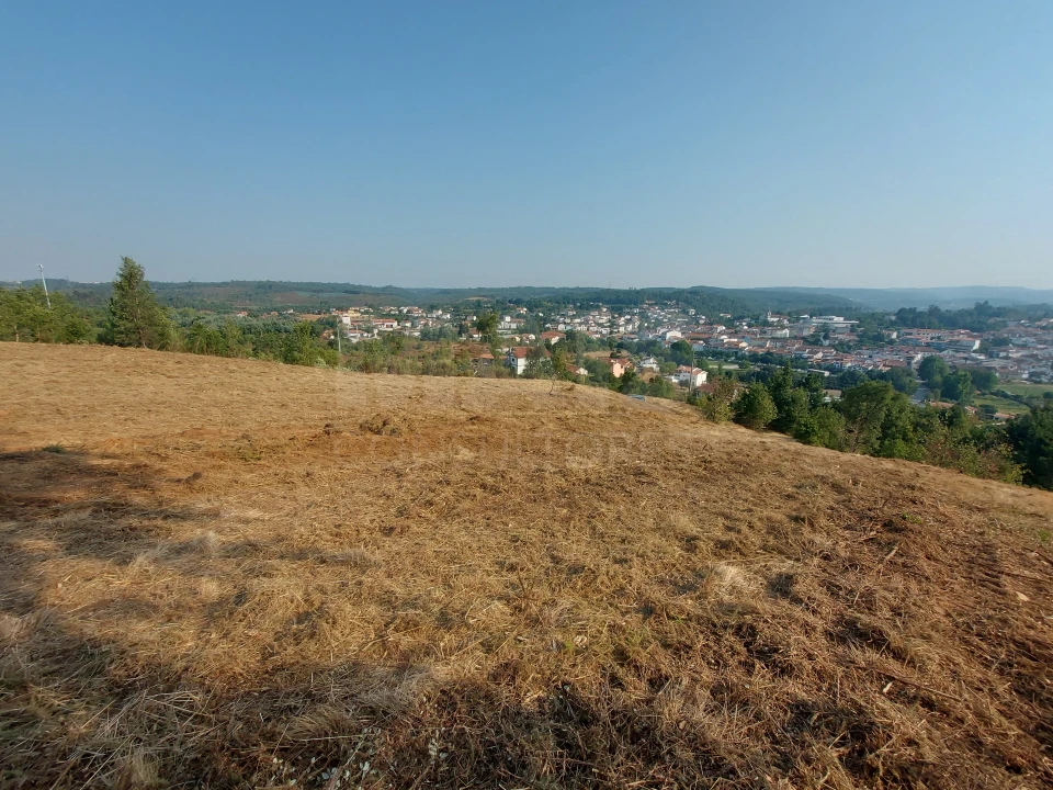 Terreno para Venda em Côja e Barril de Alva Foto 9