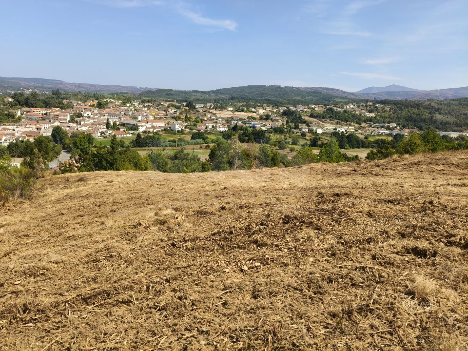 Terreno para Venda em Côja e Barril de Alva Foto 1