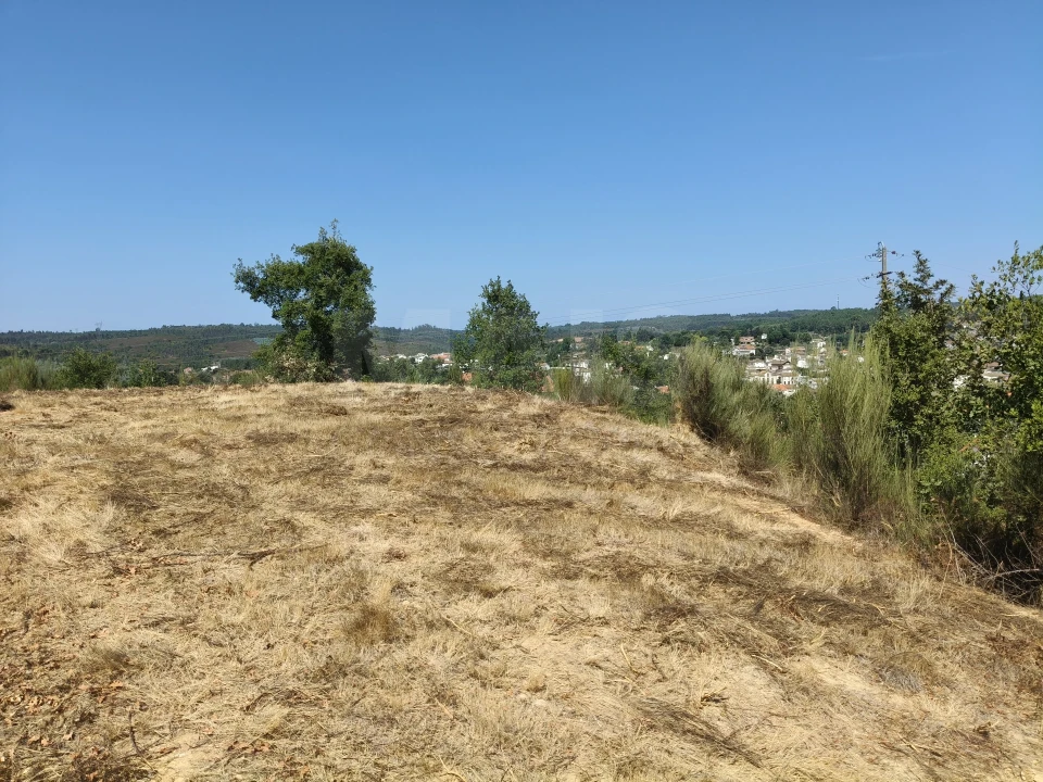 Terreno para Venda em Côja e Barril de Alva Foto 7
