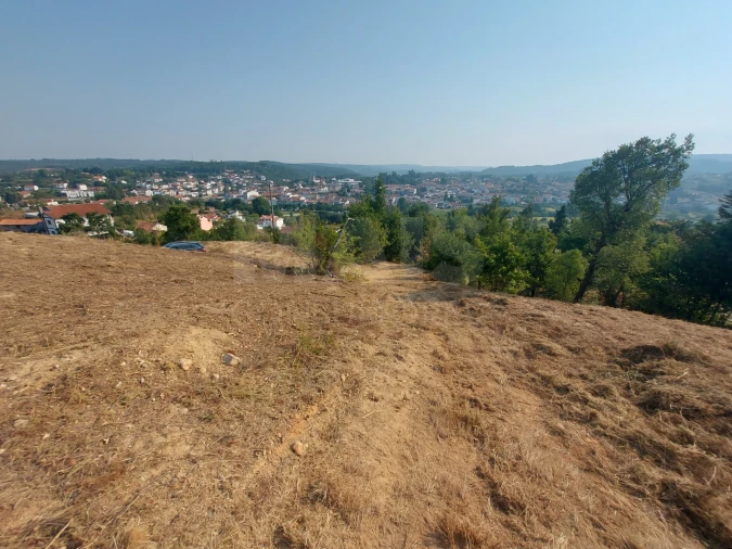 Terreno para Venda em Côja e Barril de Alva Foto 1