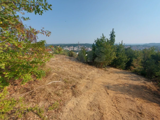 Terreno para Venda em Côja e Barril de Alva Foto 3