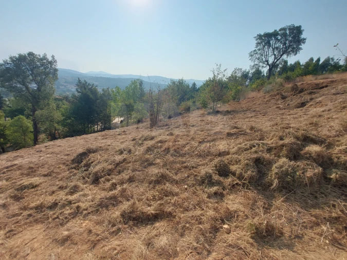 Terreno para Venda em Côja e Barril de Alva Foto 2