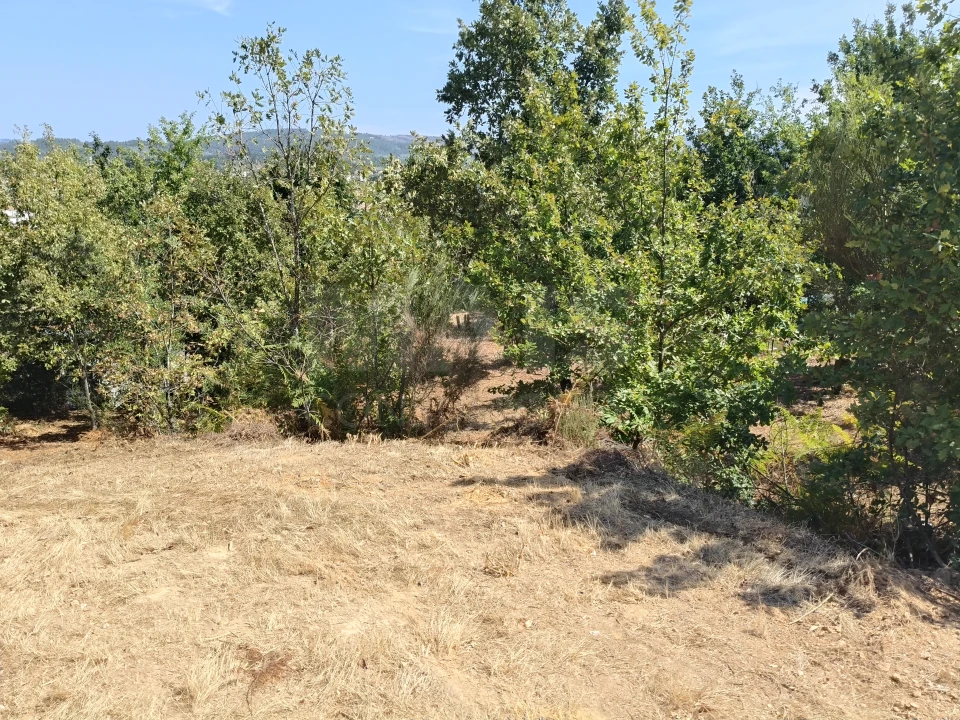 Terreno para Venda em Côja e Barril de Alva Foto 7