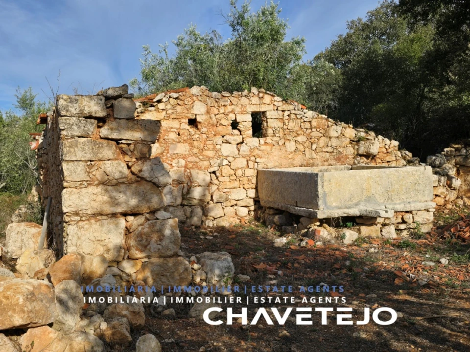 Moradia para Venda em Chãos Foto 4