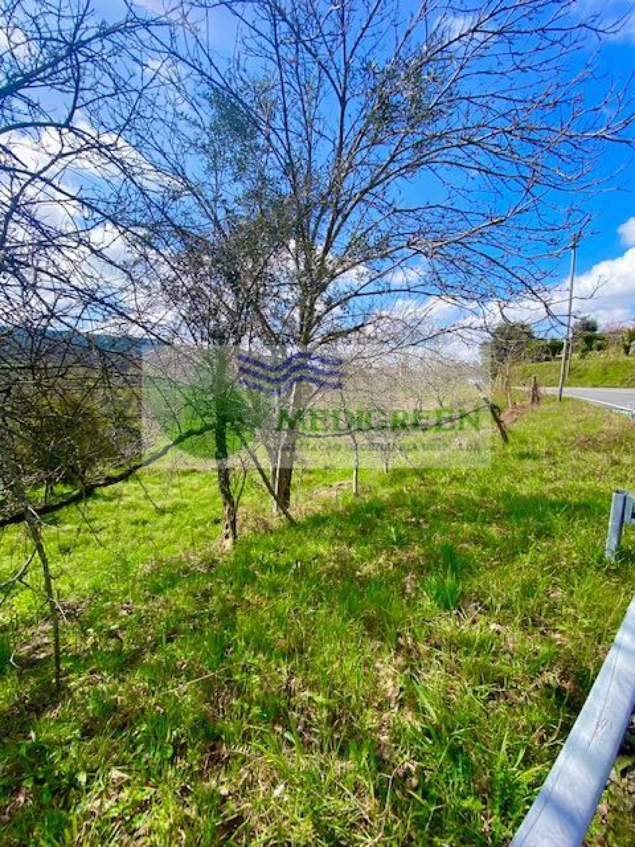 Terreno para Venda em Cedrim e Paradela Foto 7