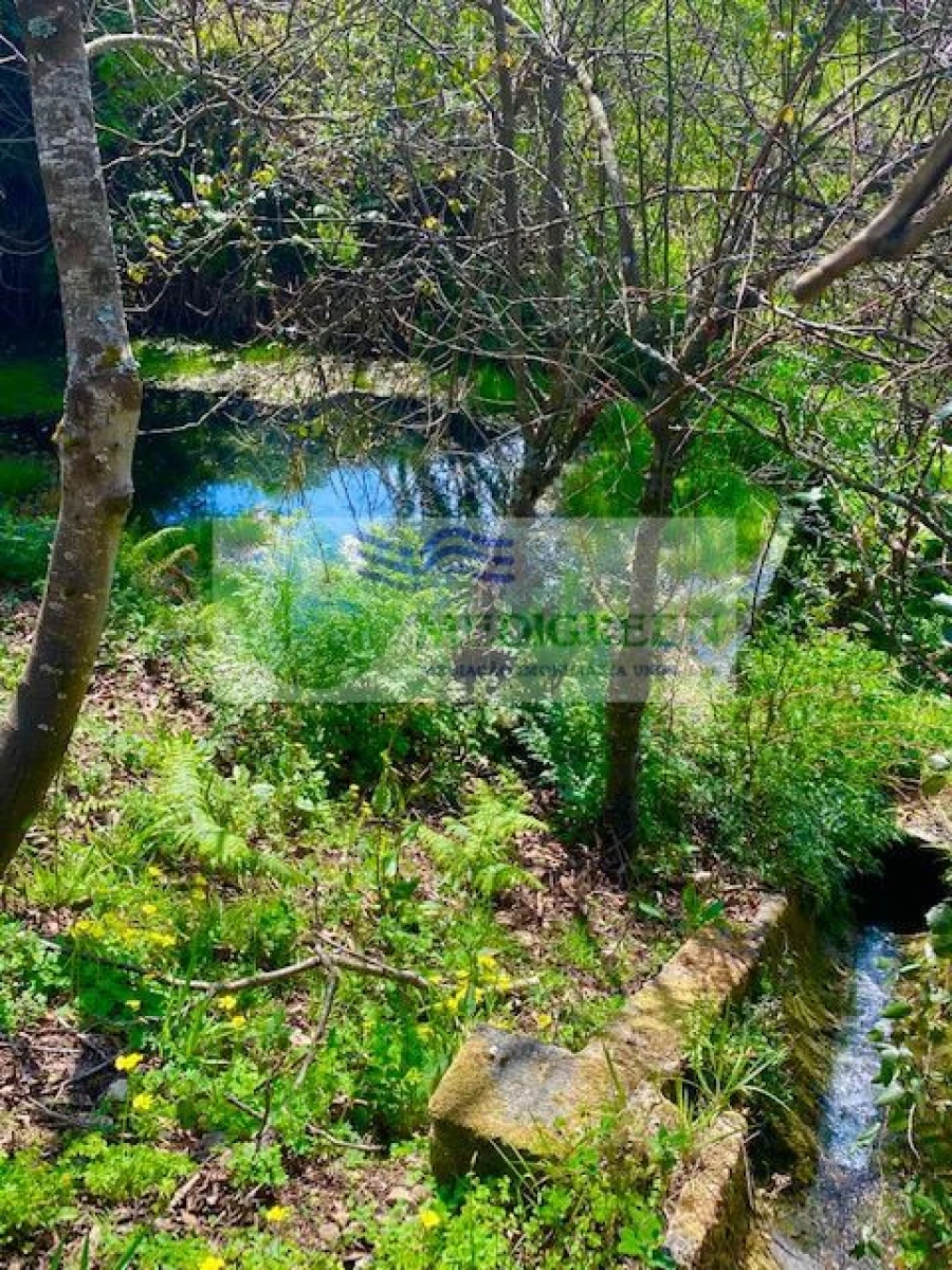 Terreno para Venda em Cedrim e Paradela Foto 4
