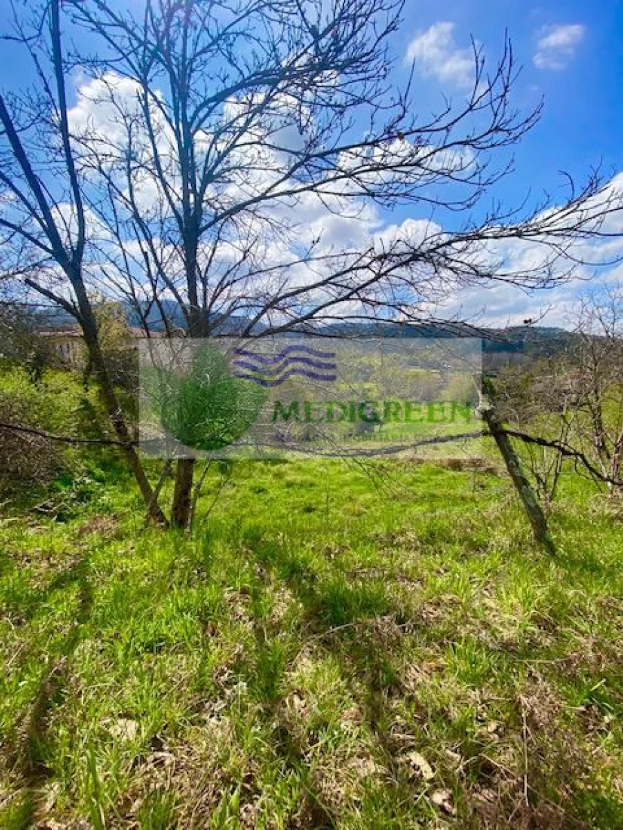 Terreno para Venda em Cedrim e Paradela Foto 9