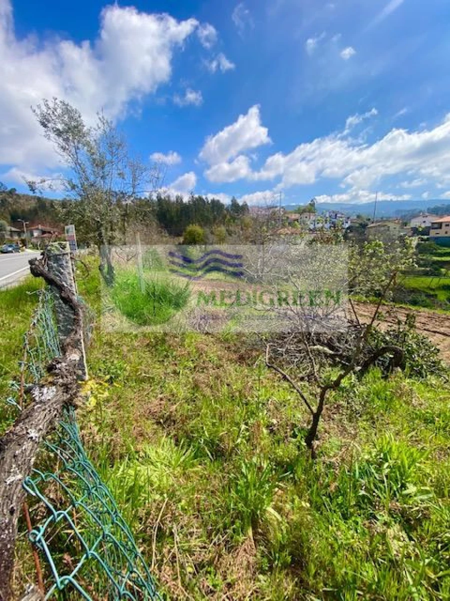 Terreno para Venda em Cedrim e Paradela Foto 10