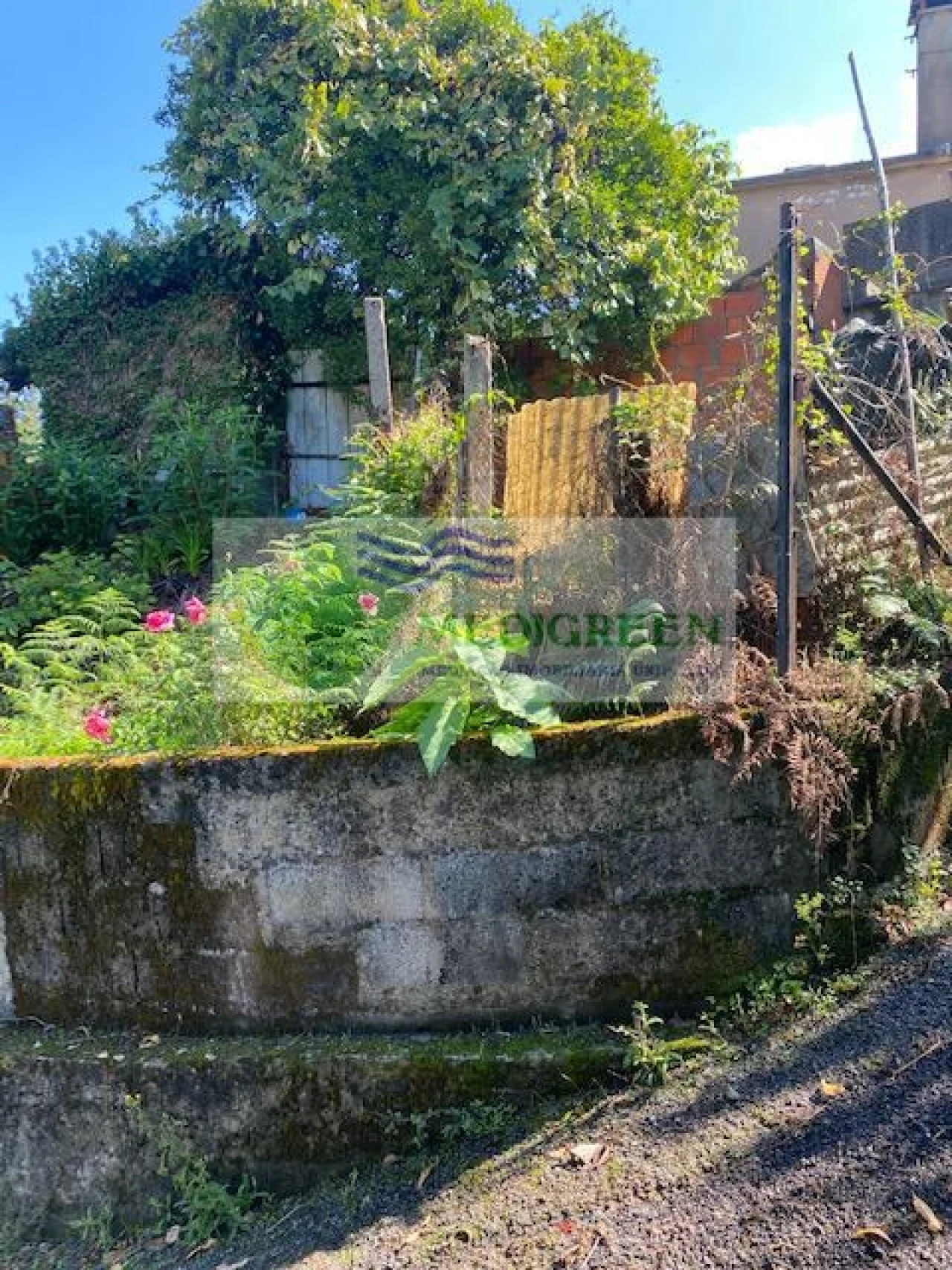 Moradia T3 para Venda em Cedrim e Paradela Foto 11