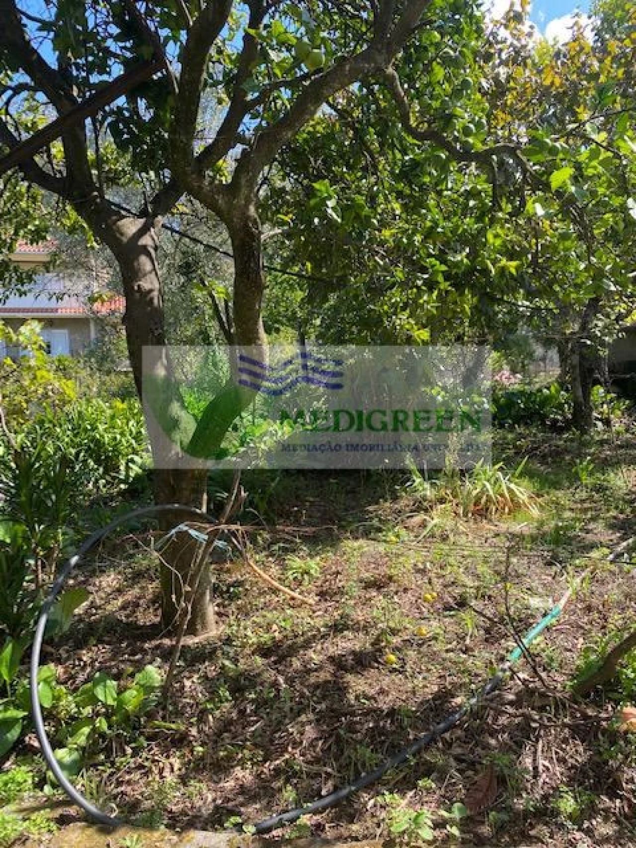 Moradia T3 para Venda em Cedrim e Paradela Foto 16