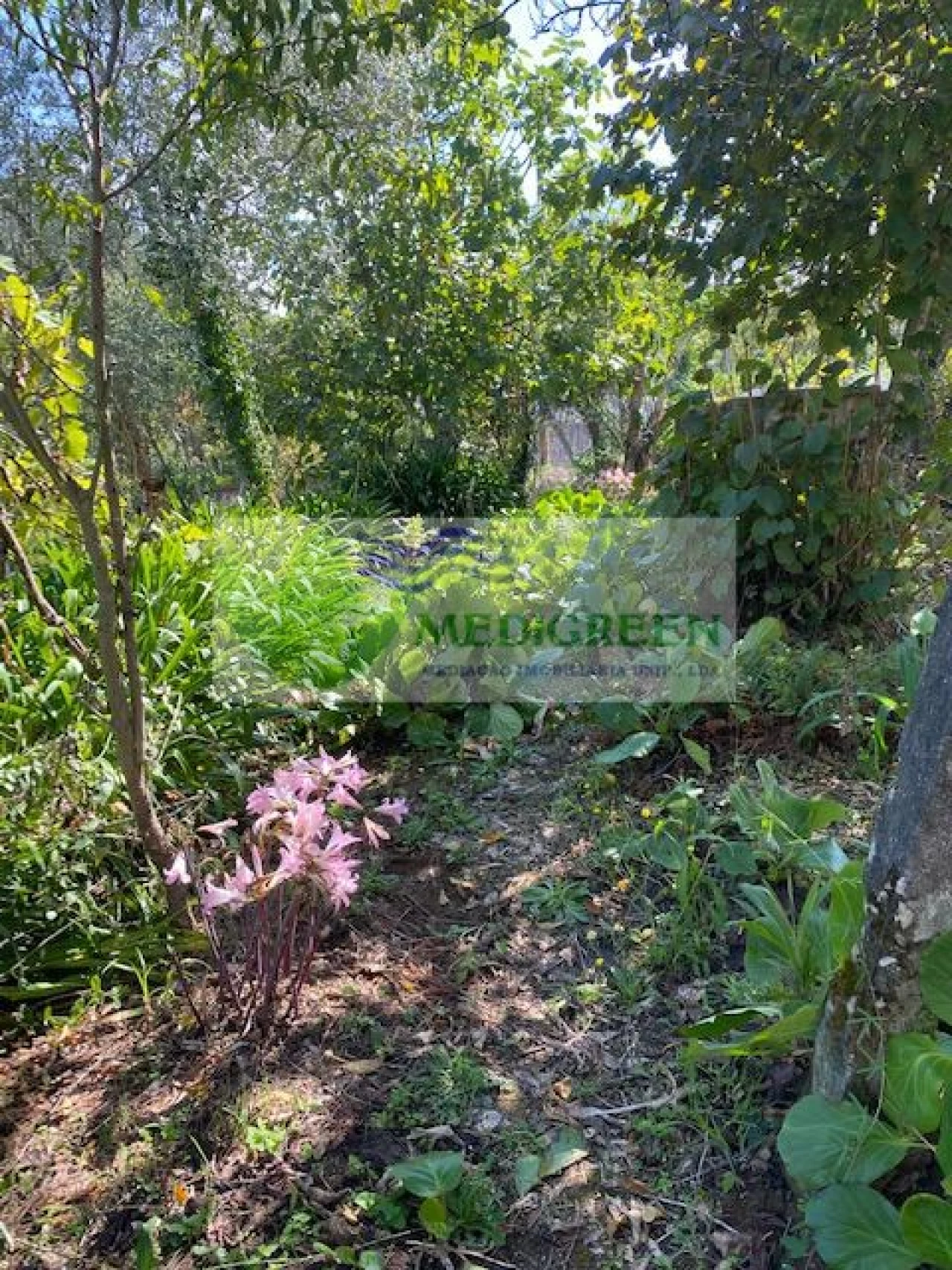 Moradia T3 para Venda em Cedrim e Paradela Foto 19