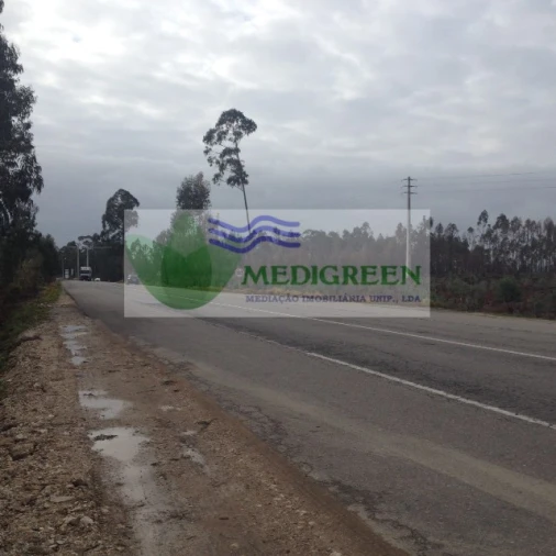 Terreno para Venda em Águeda e Borralha Foto 2