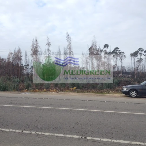 Terreno para Venda em Águeda e Borralha Foto 3
