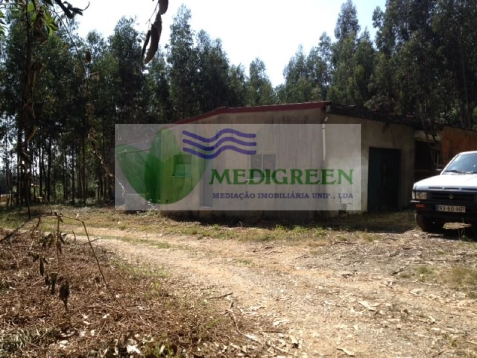 Terreno para Venda em Valongo do Vouga Foto 2