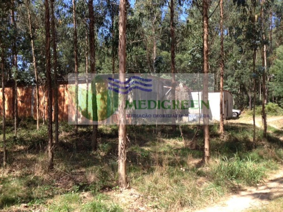 Terreno para Venda em Valongo do Vouga Foto 6