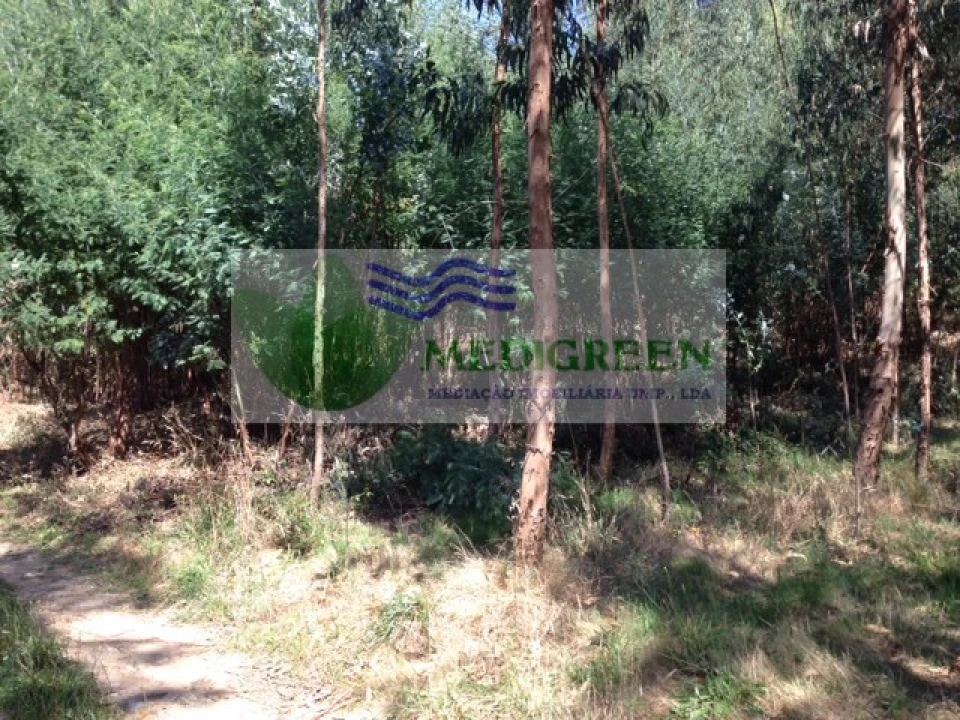 Terreno para Venda em Valongo do Vouga Foto 7