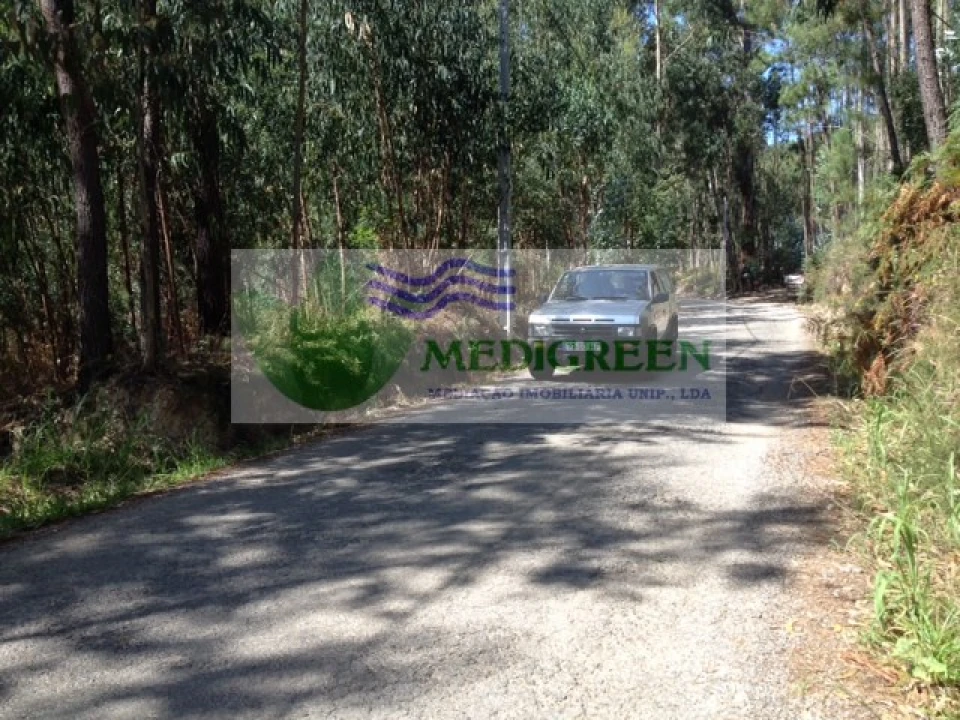 Terreno para Venda em Valongo do Vouga Foto 9