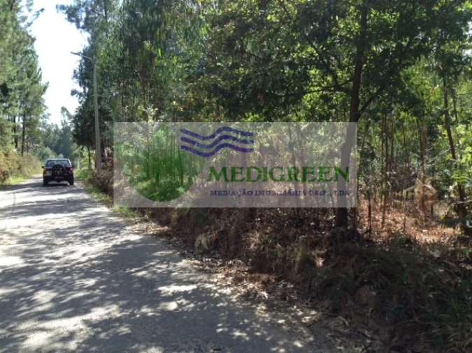 Terreno para Venda em Valongo do Vouga Foto 3