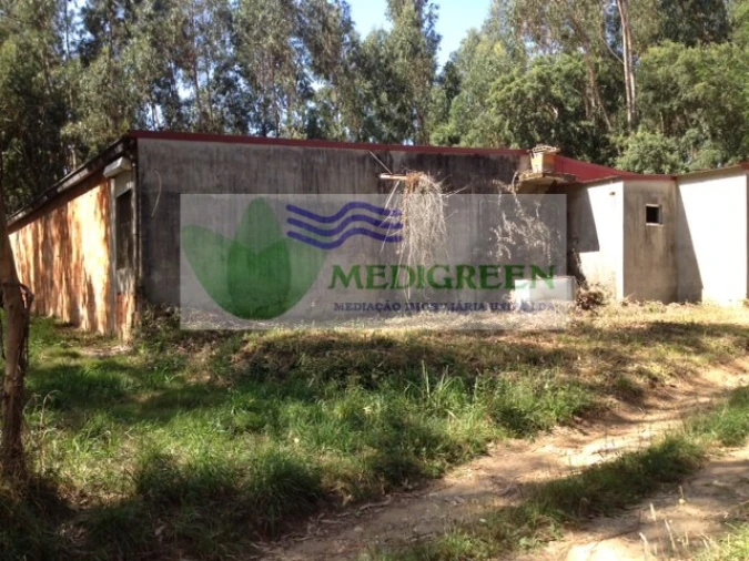 Terreno para Venda em Valongo do Vouga Foto 4