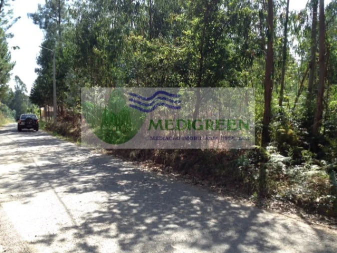 Terreno para Venda em Valongo do Vouga Foto 8