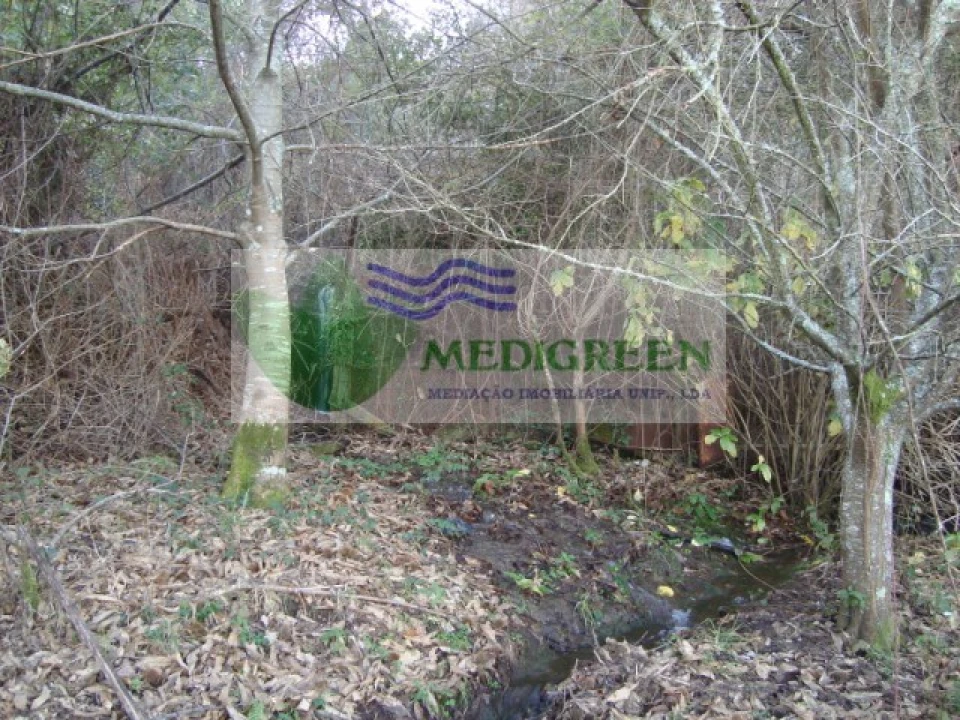 Quinta para Venda em São Pedro de Castelões Foto 1