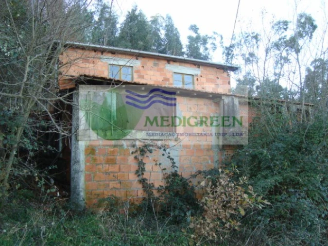 Quinta para Venda em São Pedro de Castelões Foto 6