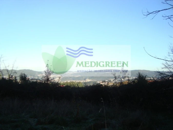 Quinta para Venda em São Pedro de Castelões Foto 7