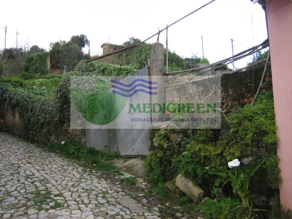 Quinta para Venda em Macinhata do Vouga Foto 4