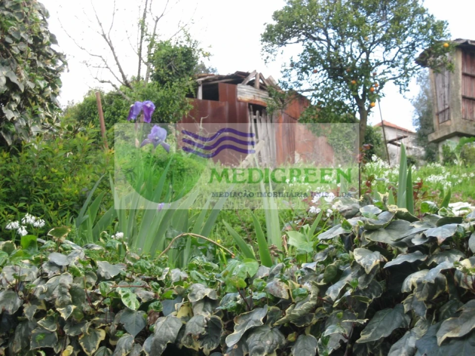 Quinta para Venda em Macinhata do Vouga Foto 8