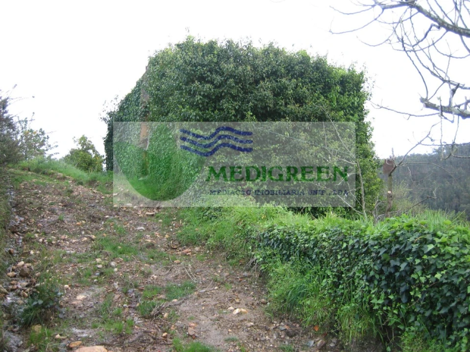 Quinta para Venda em Macinhata do Vouga Foto 10