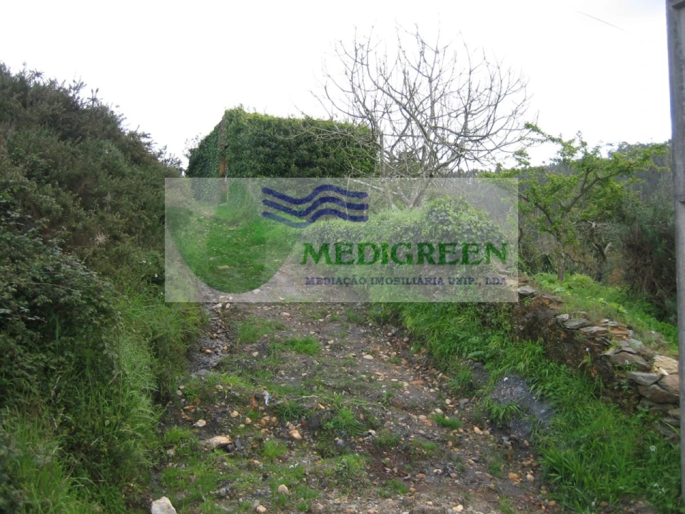 Quinta para Venda em Macinhata do Vouga Foto 11