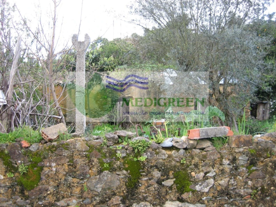 Quinta para Venda em Macinhata do Vouga Foto 13