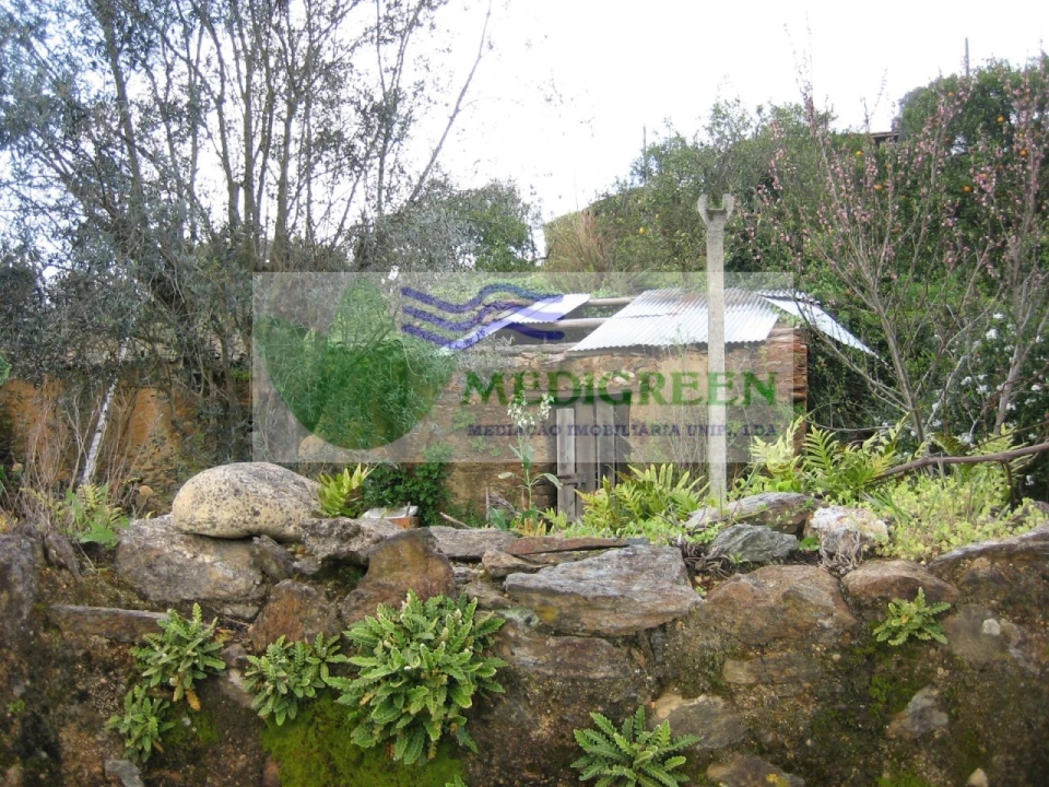 Quinta para Venda em Macinhata do Vouga Foto 14