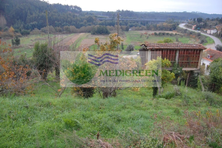Quinta para Venda em Macinhata do Vouga Foto 3