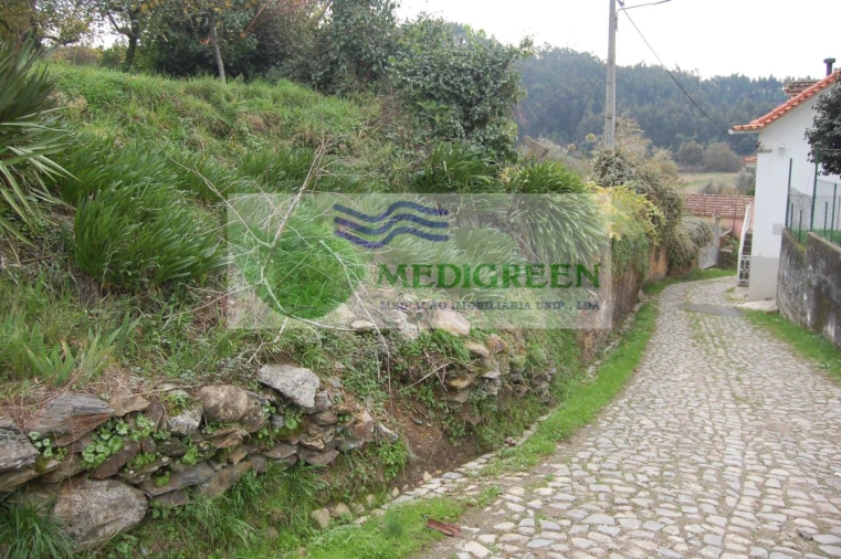 Quinta para Venda em Macinhata do Vouga Foto 5