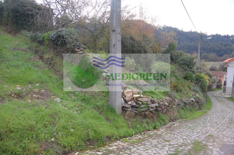 Quinta para Venda em Macinhata do Vouga Foto 6