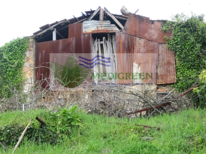 Quinta para Venda em Macinhata do Vouga Foto 7