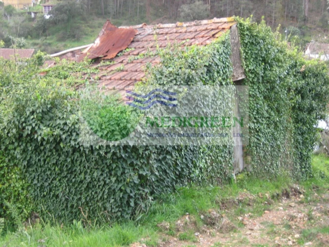 Quinta para Venda em Macinhata do Vouga Foto 9