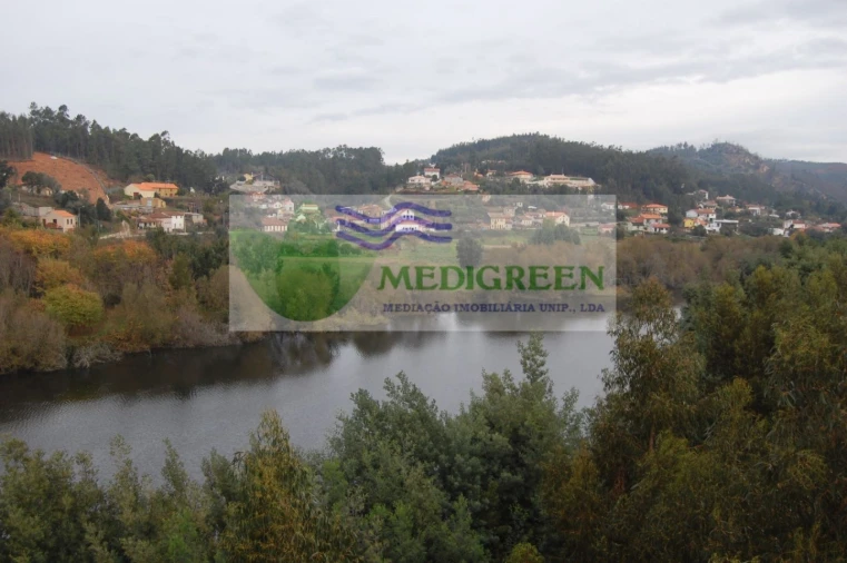 Quinta para Venda em Macinhata do Vouga Foto 15