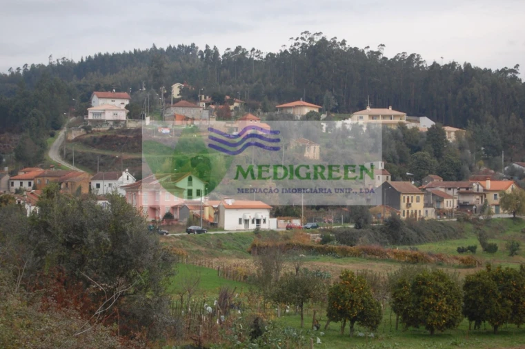 Quinta para Venda em Macinhata do Vouga Foto 16