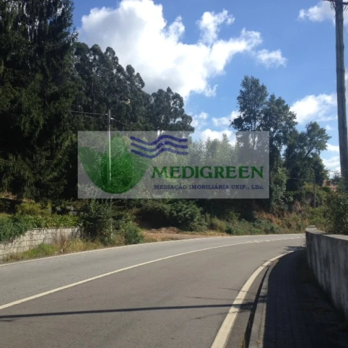 Terreno para Venda em Pessegueiro do Vouga