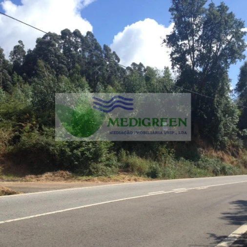 Terreno para Venda em Pessegueiro do Vouga Foto 2